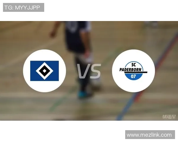 帕德伯恩与汉堡精彩对决视频回顾及赛后分析